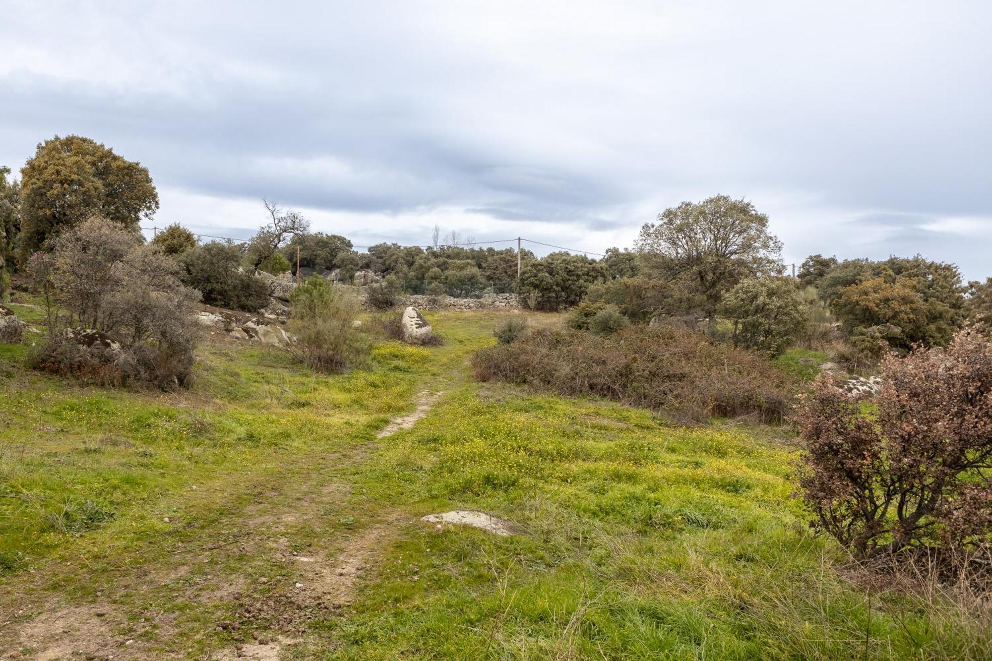 Finca El Olivo De Fresnedillas Fresnedillas de la Oliva Zewnętrze zdjęcie