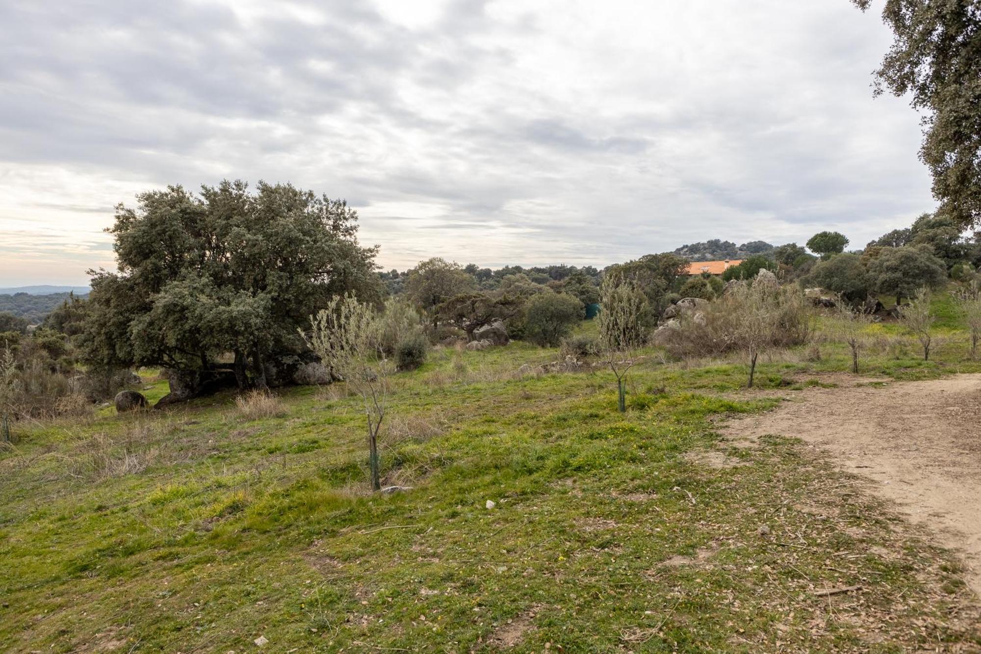 Finca El Olivo De Fresnedillas Fresnedillas de la Oliva Zewnętrze zdjęcie